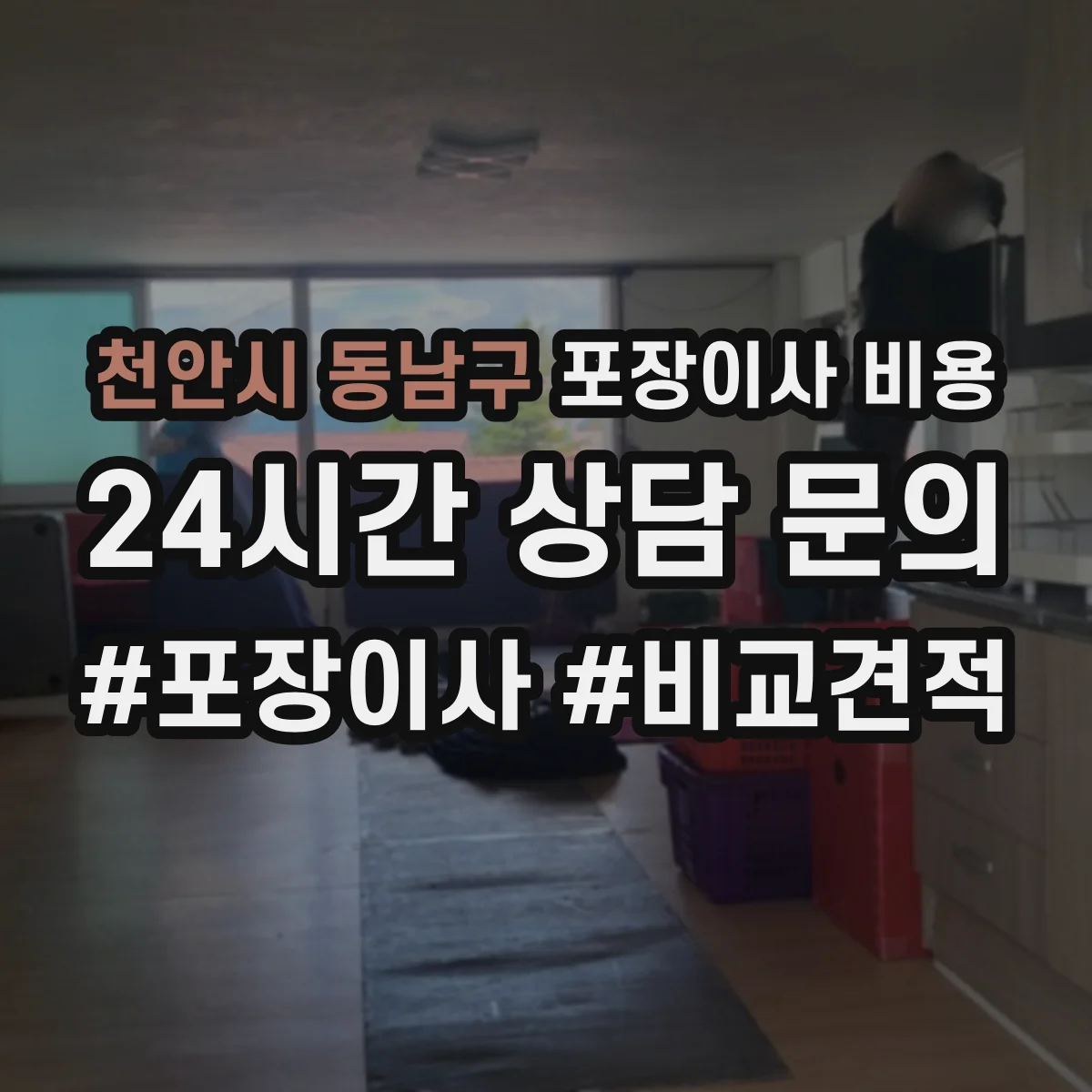 천안시 동남구 포장이사 비용