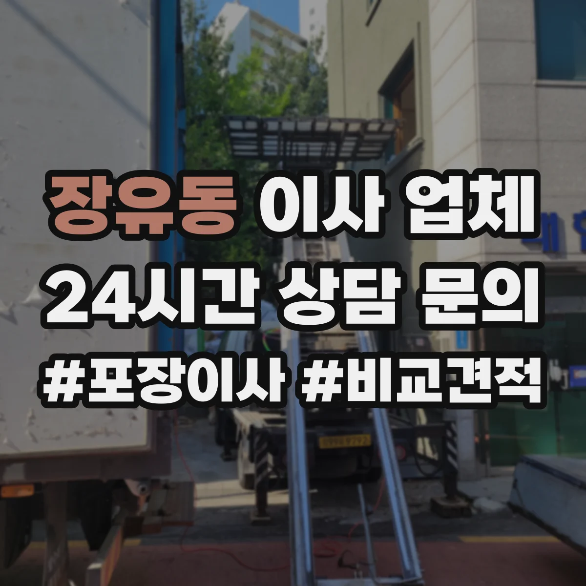 장유동 이사 업체