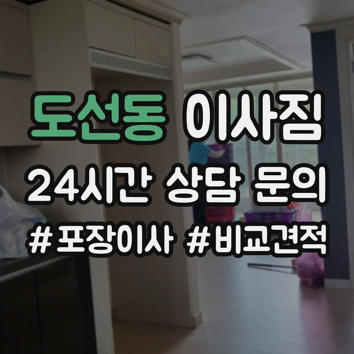 도선동 이사짐
