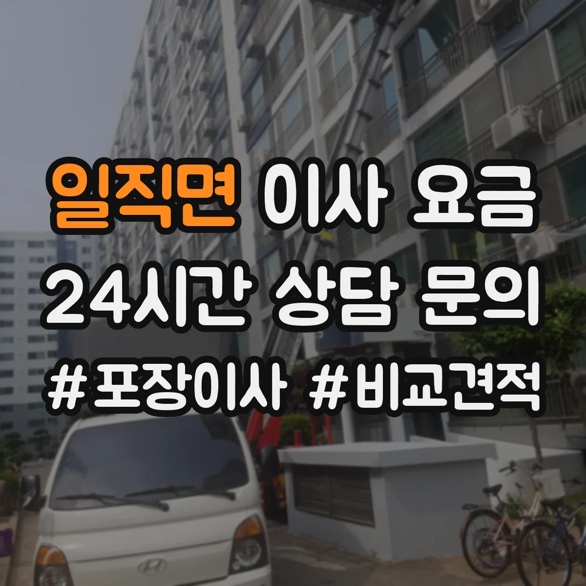 일직면 이사 요금