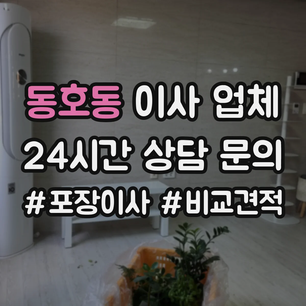 동호동 이사 업체