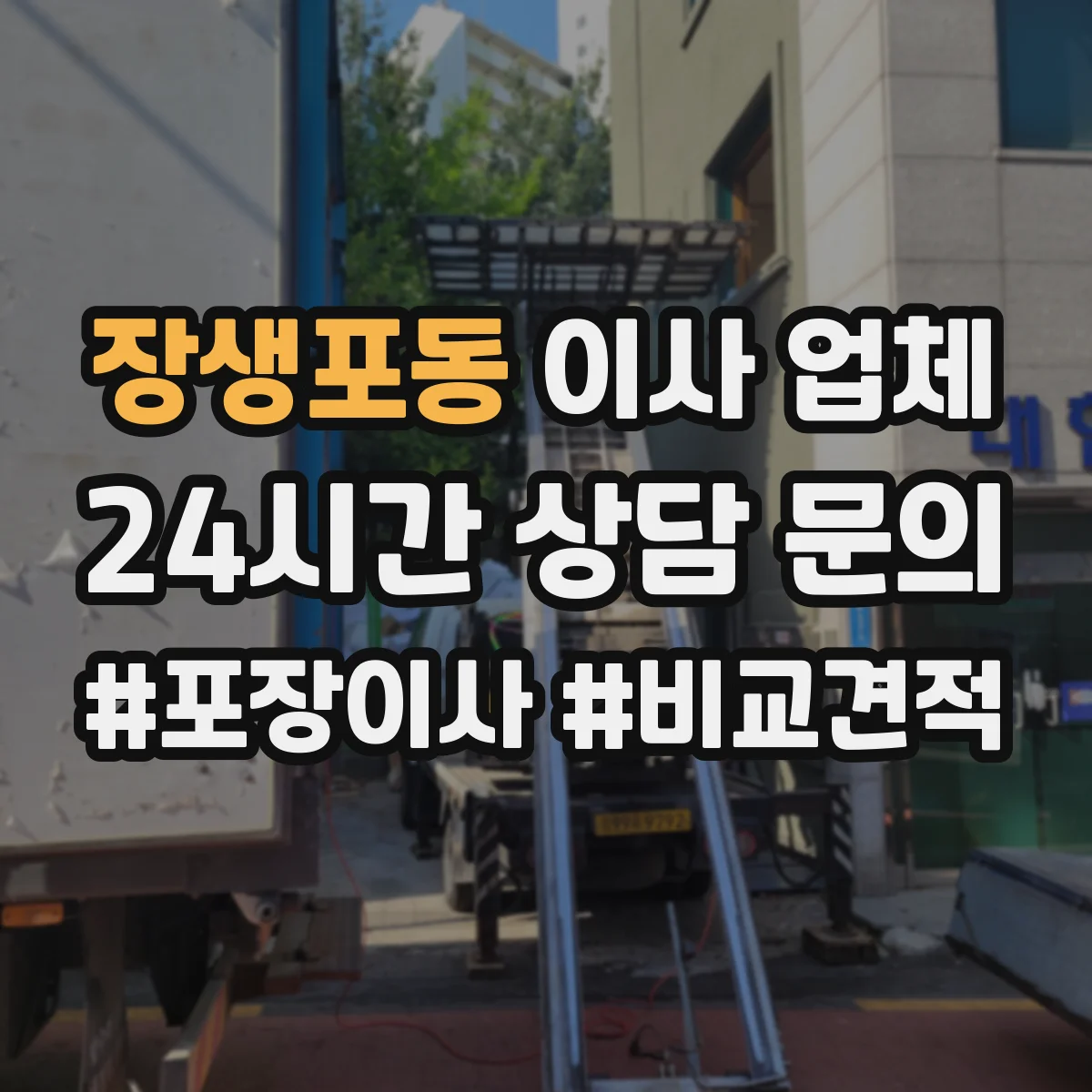 장생포동 이사 업체