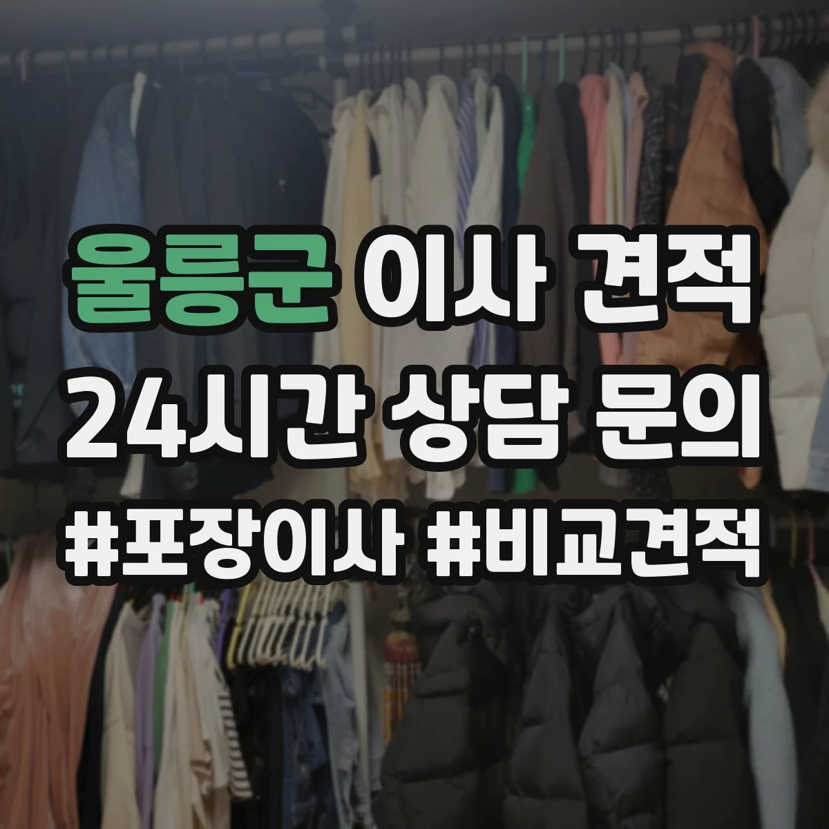 울릉군 이사 견적