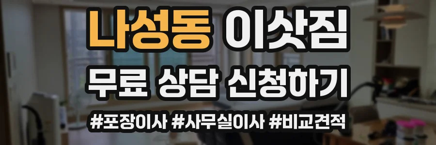나성동 이삿짐