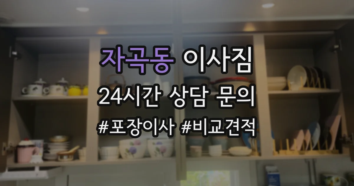 자곡동 이사짐