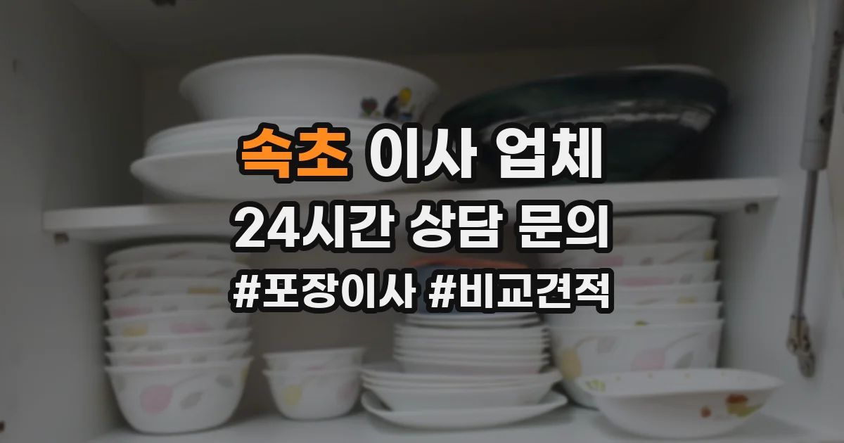 속초 이사 업체