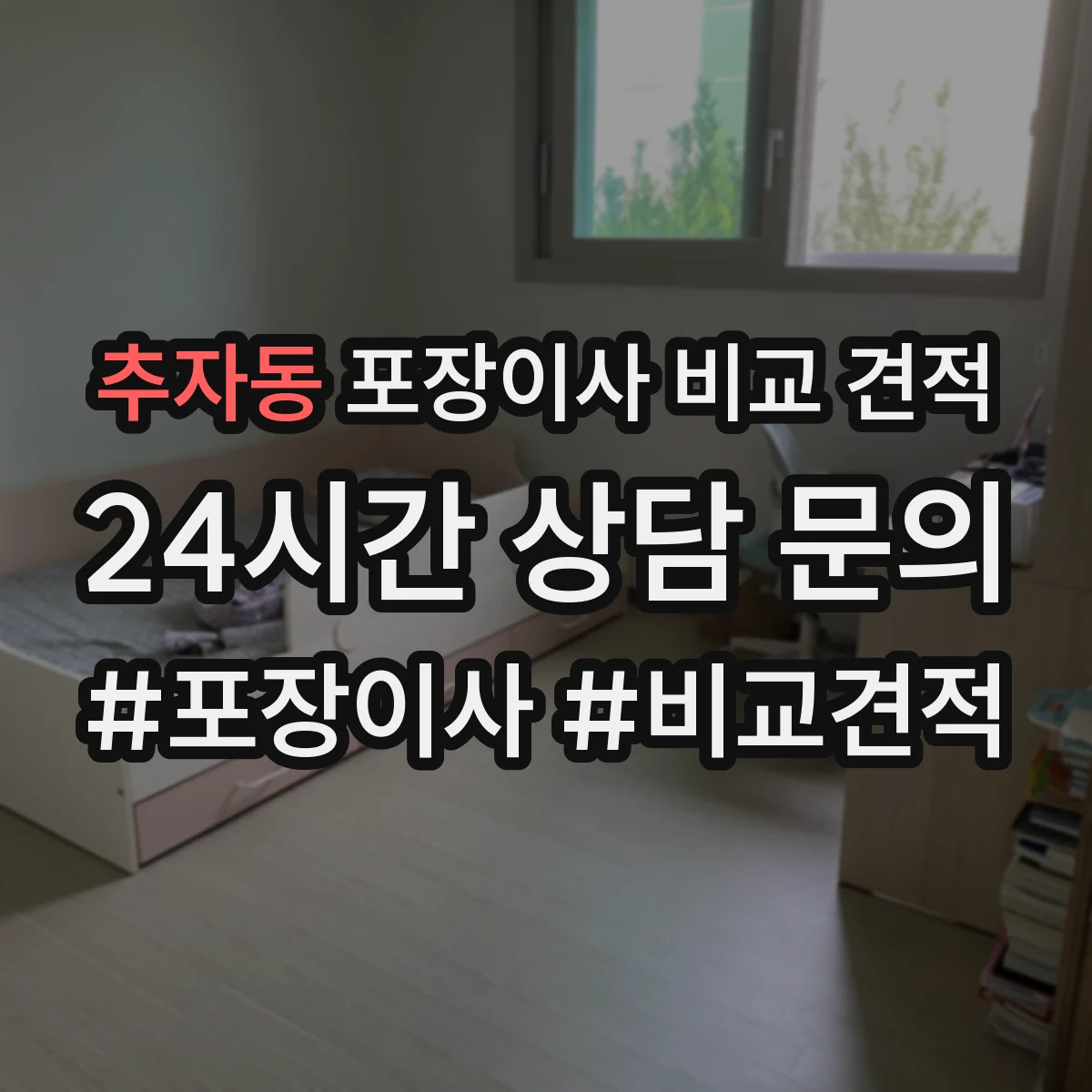추자동 포장이사 비교 견적
