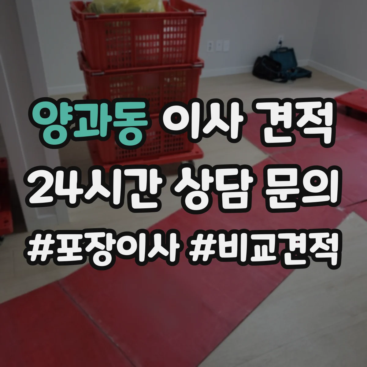 양과동 이사 견적