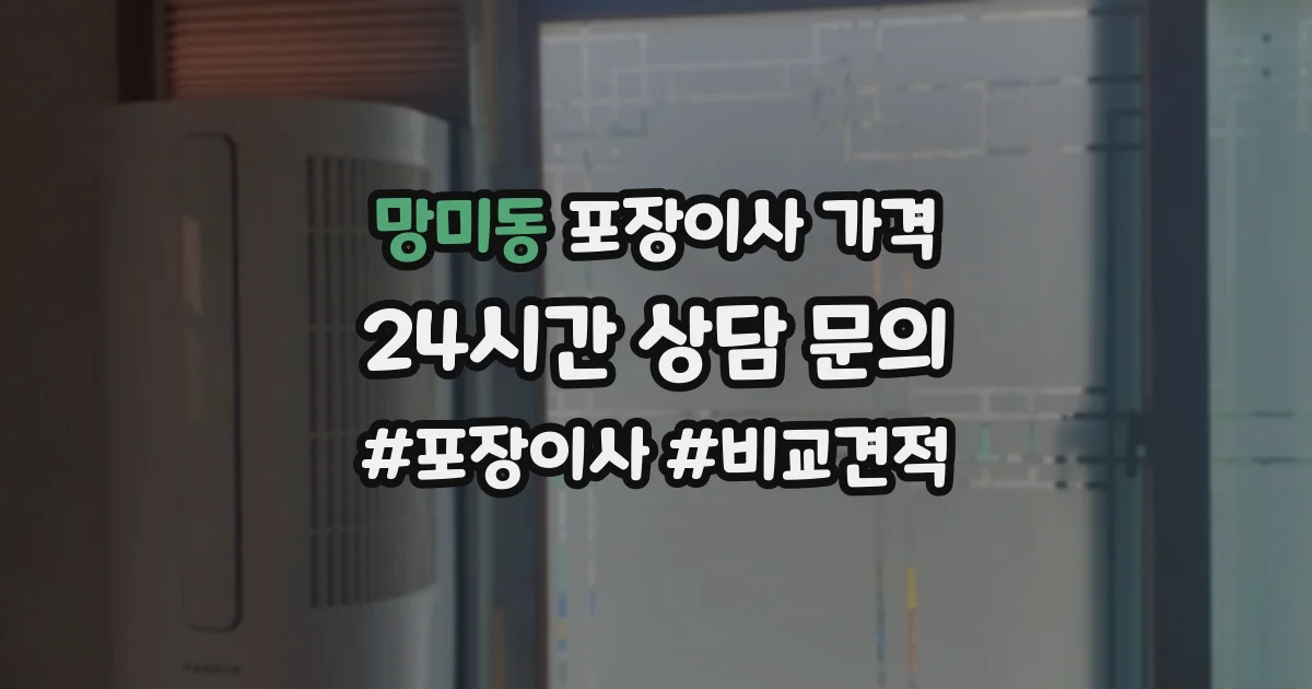 망미동 포장이사 가격