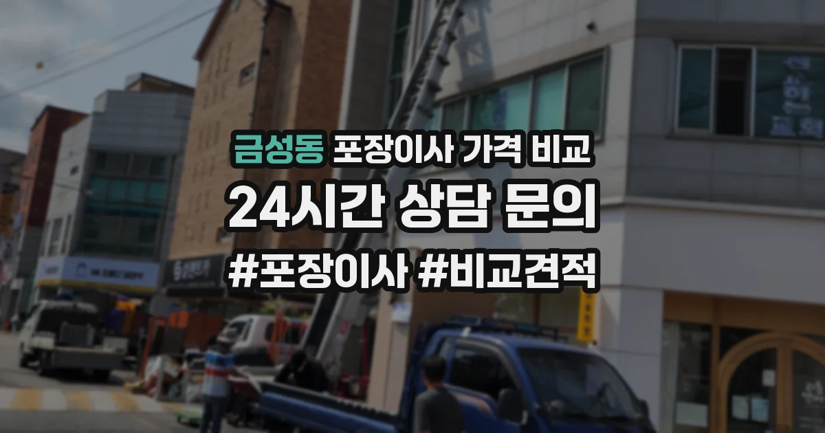 금성동 포장이사 가격 비교