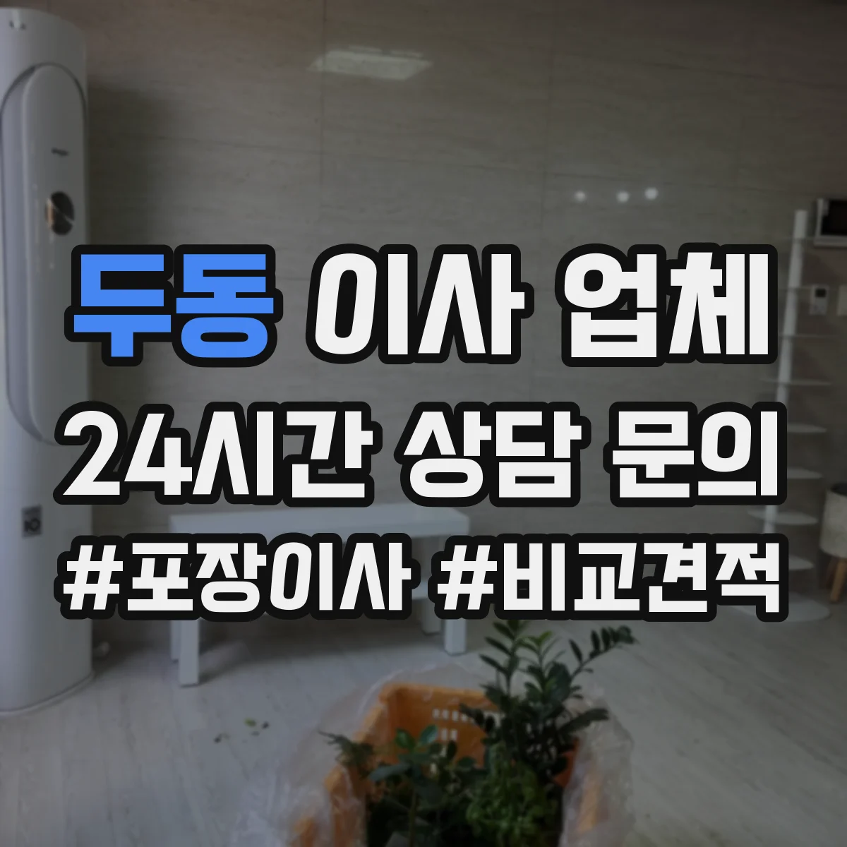 두동 이사 업체