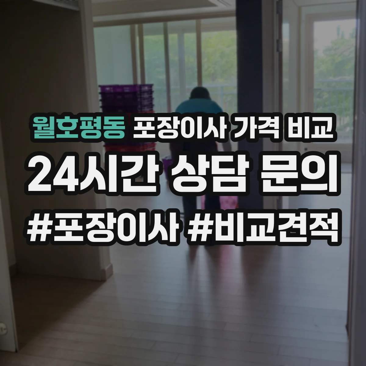 월호평동 포장이사 가격 비교
