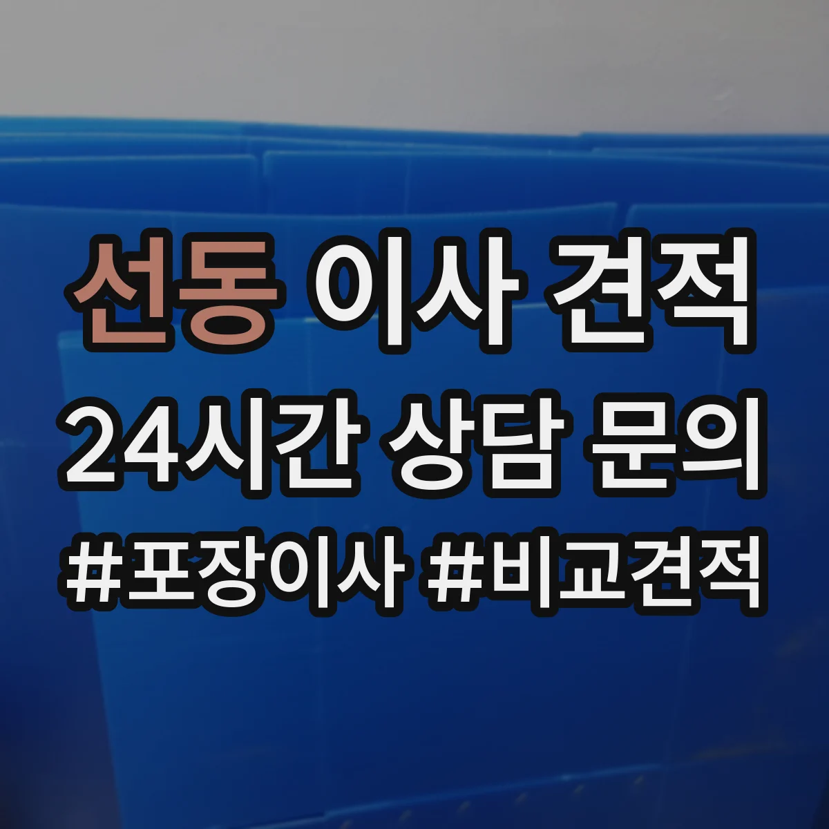 선동 이사 견적
