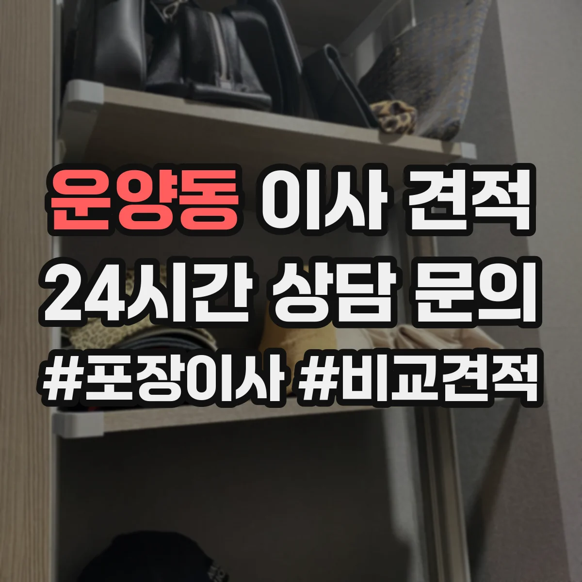 운양동 이사 견적