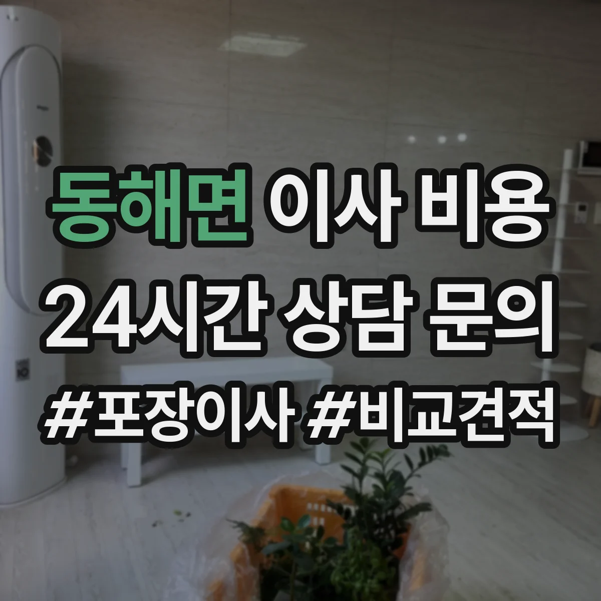 동해면 이사 비용