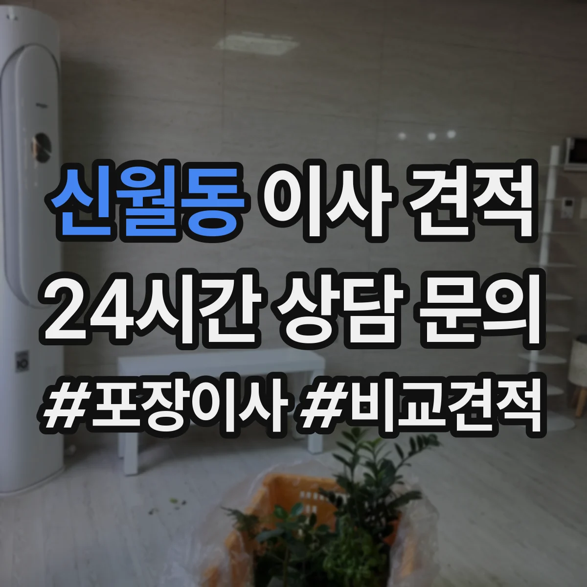 신월동 이사 견적
