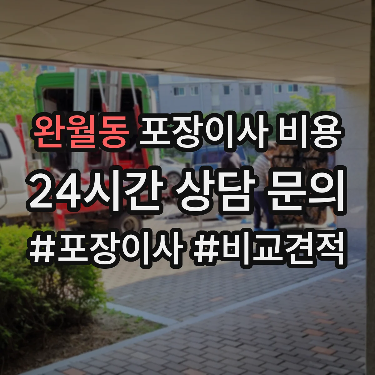 완월동 포장이사 비용