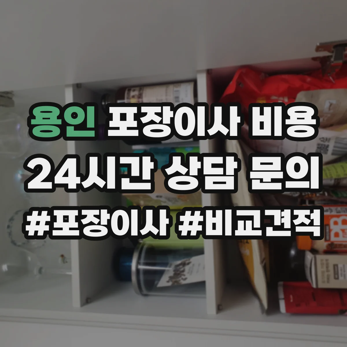 용인 포장이사 비용