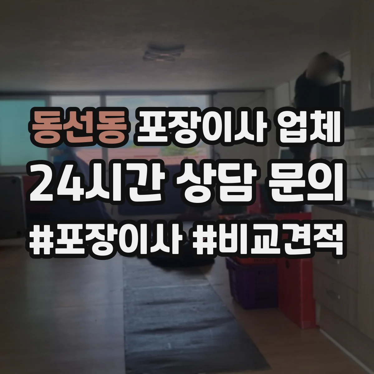 동선동 포장이사 업체