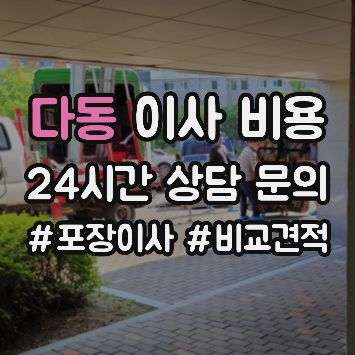 다동 이사 비용