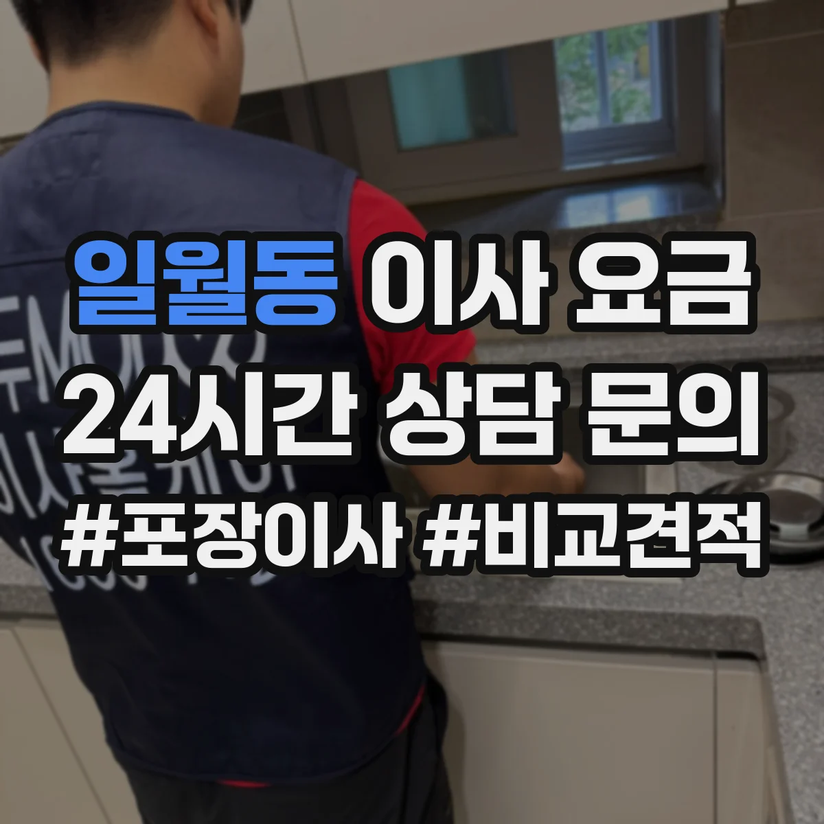 일월동 이사 요금