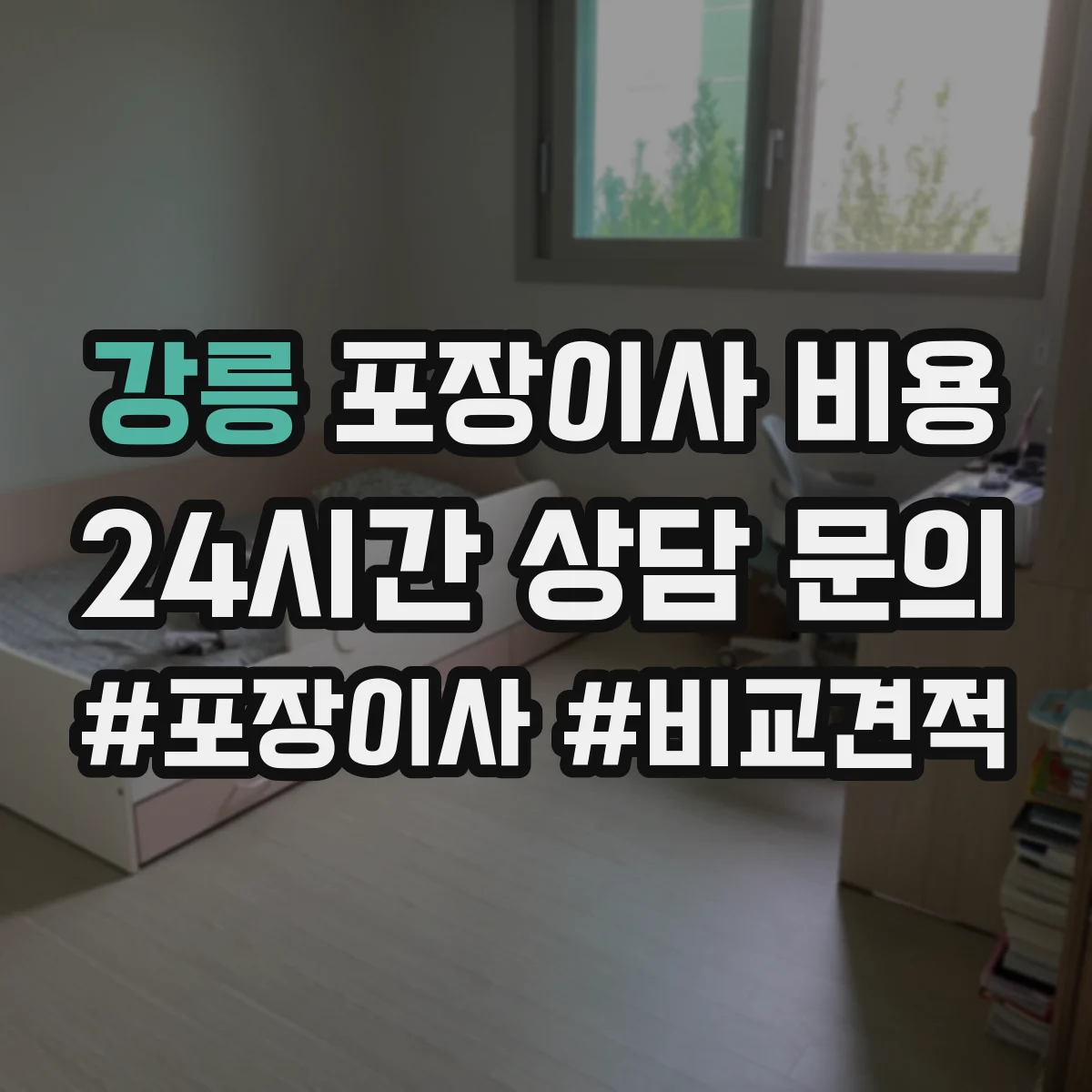 강릉 포장이사 비용
