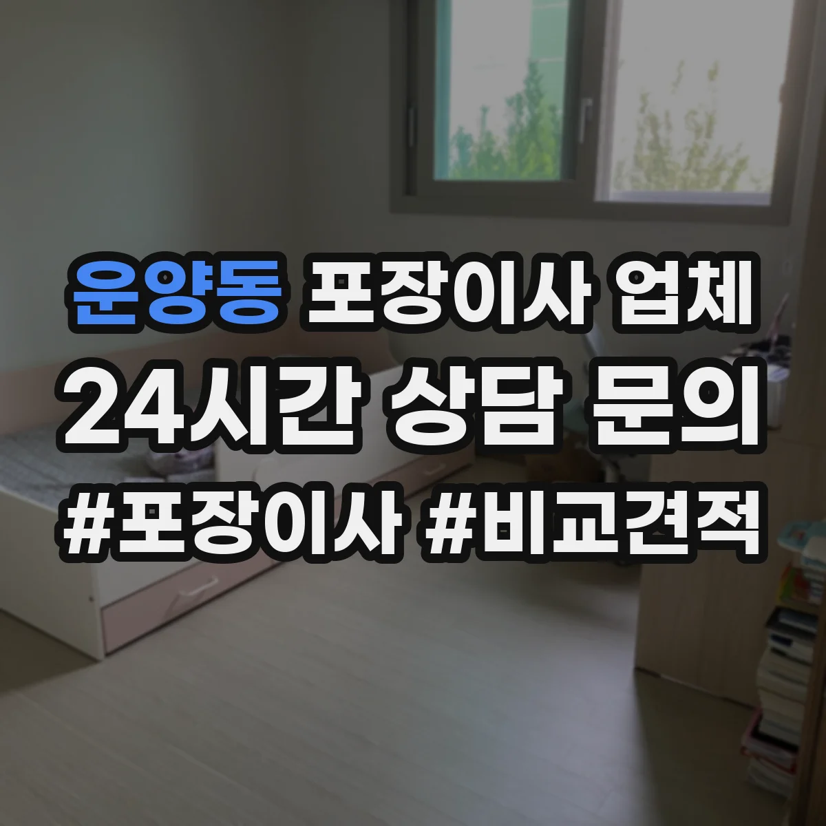 운양동 포장이사 업체