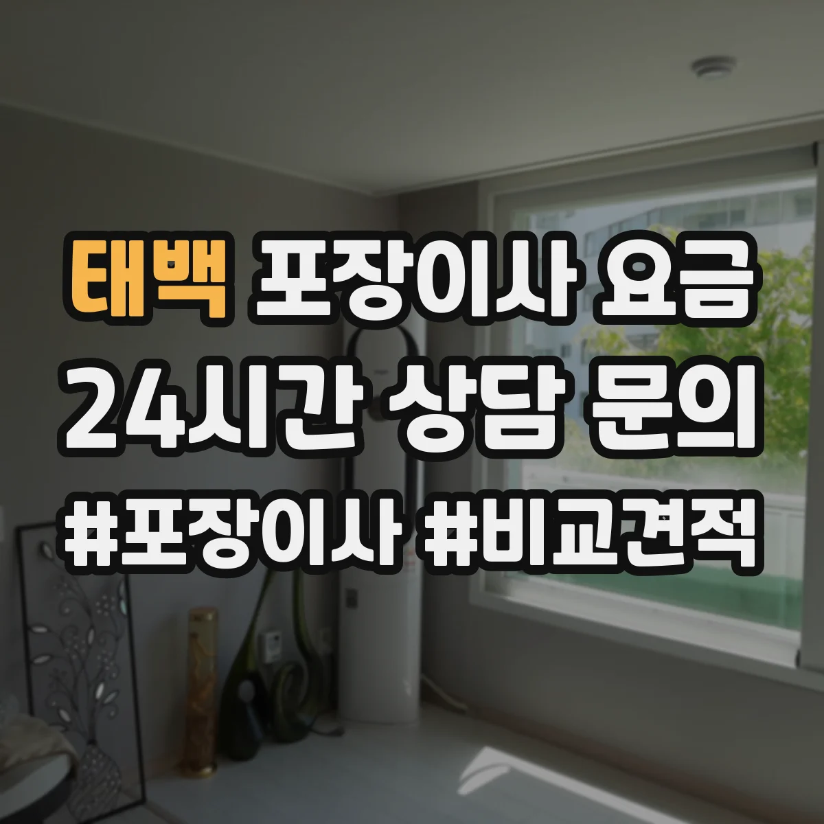 태백 포장이사 요금