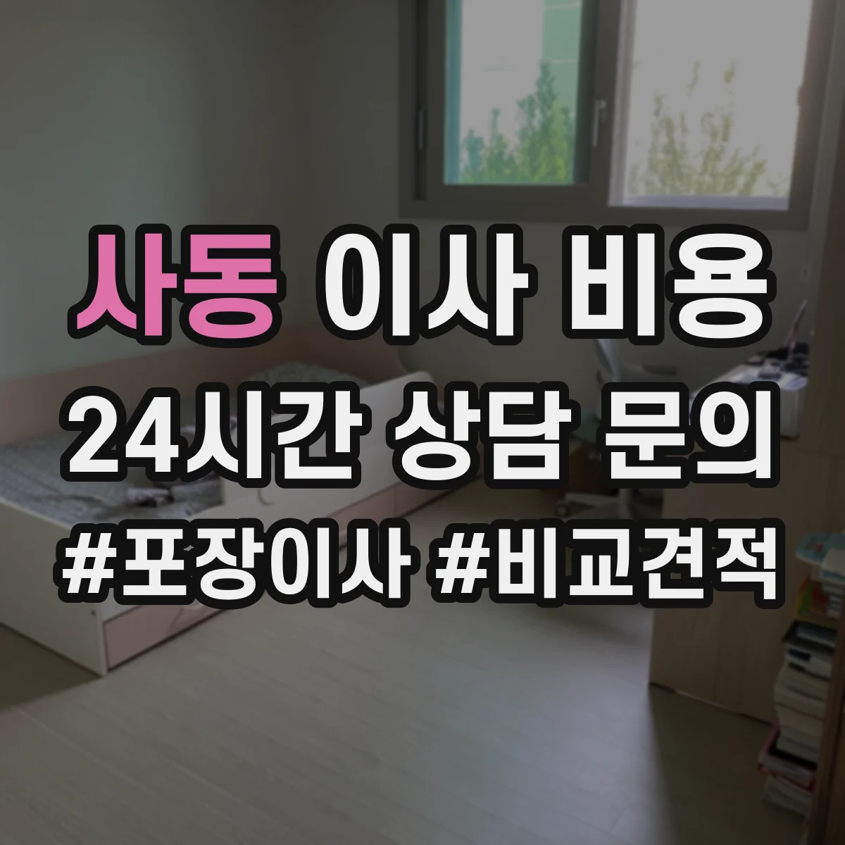 사동 이사 비용