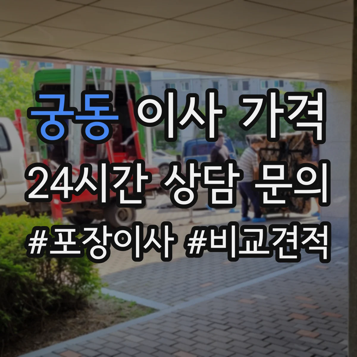 궁동 이사 가격