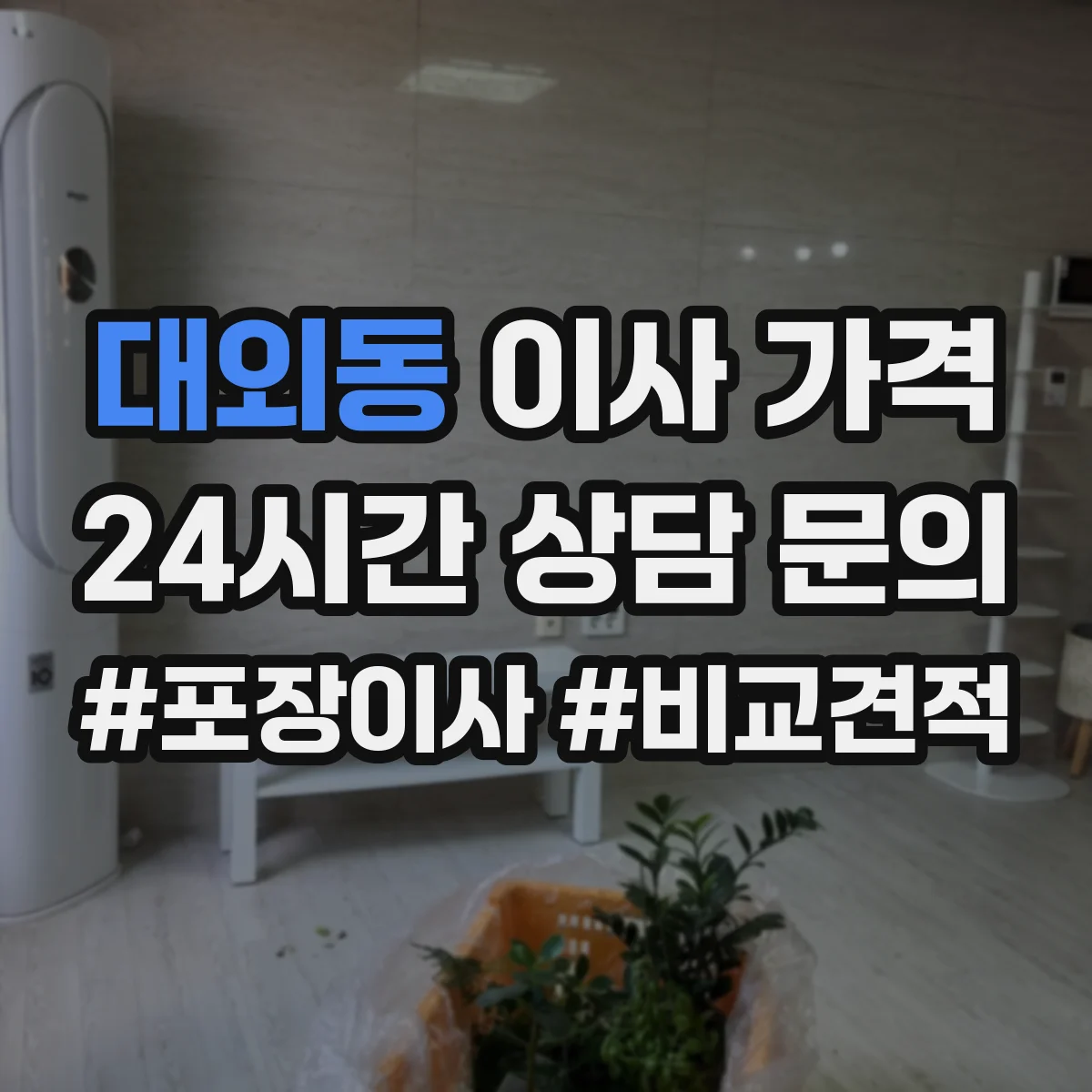 대외동 이사 가격