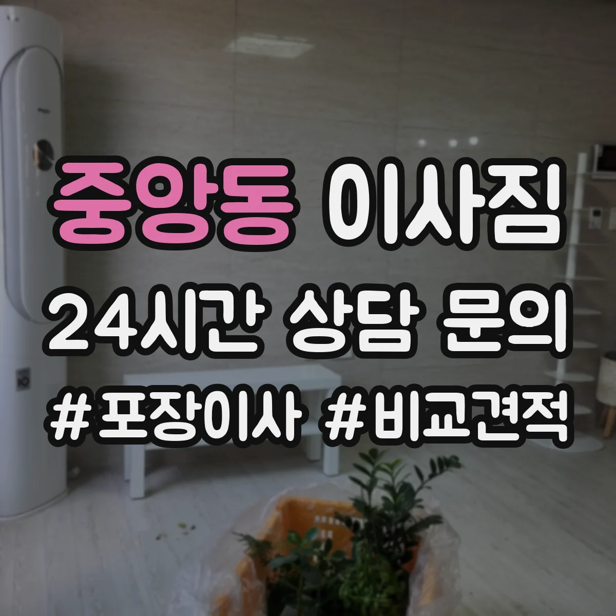 중앙동 이사짐