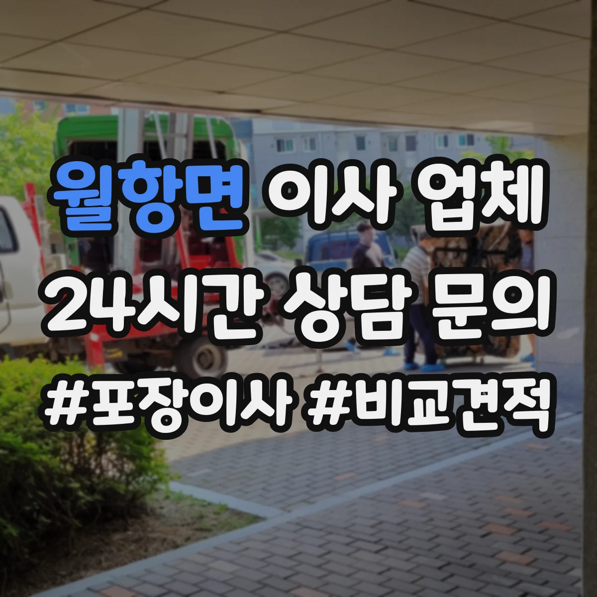 월항면 이사 업체