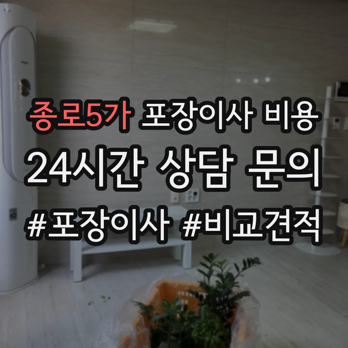 종로5가 포장이사 비용