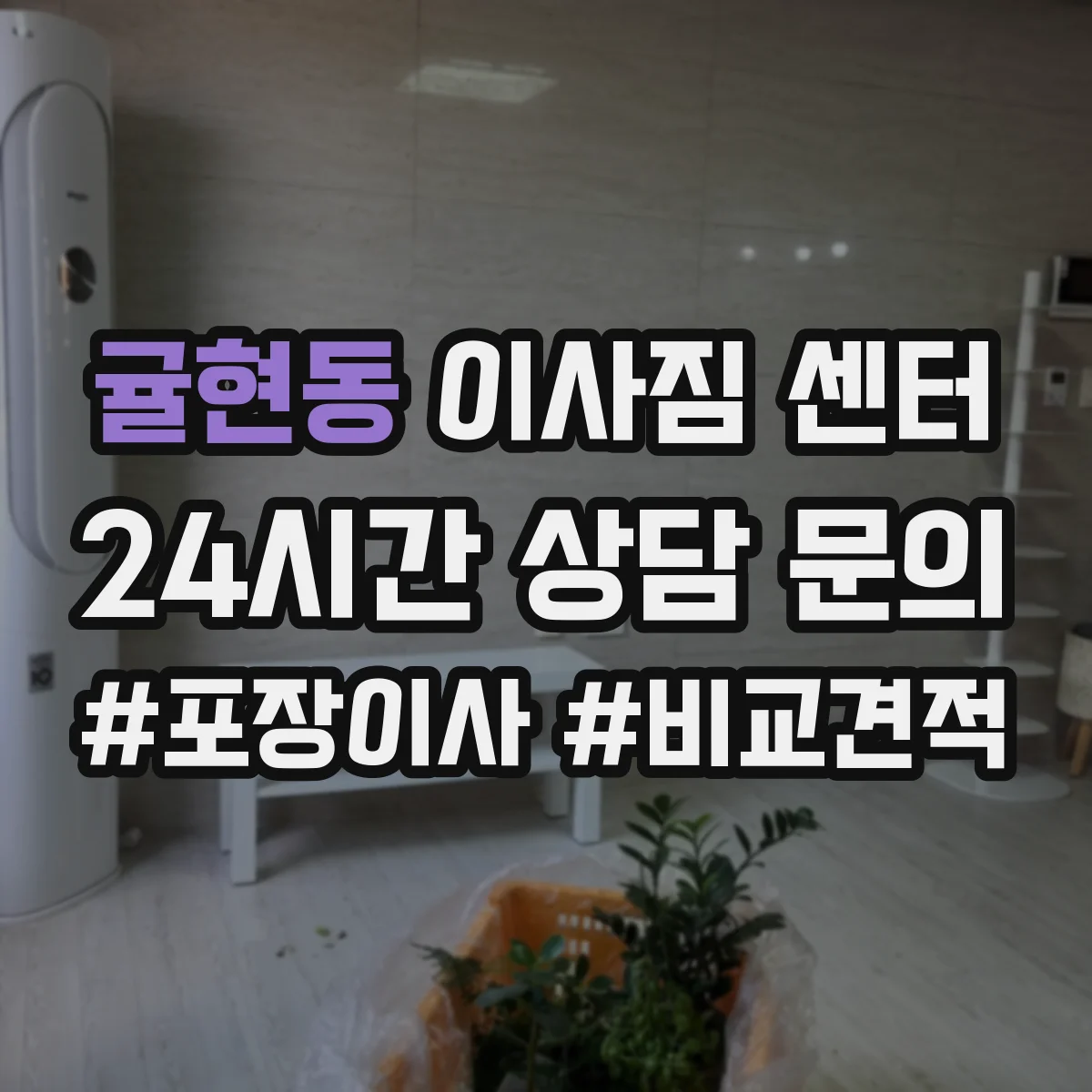 귤현동 이사짐 센터