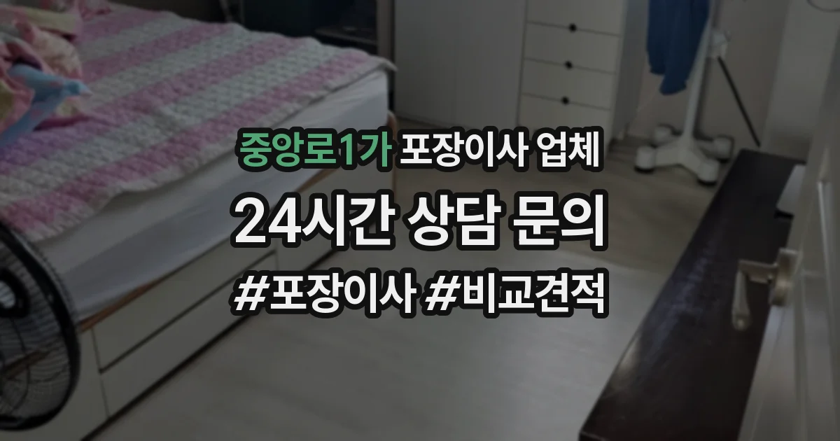 중앙로1가 포장이사 업체