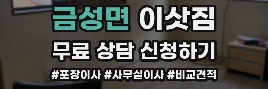 금성면 이삿짐
