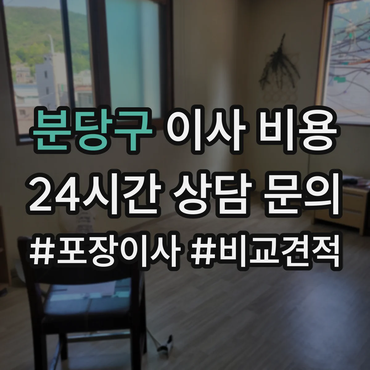 분당구 이사 비용