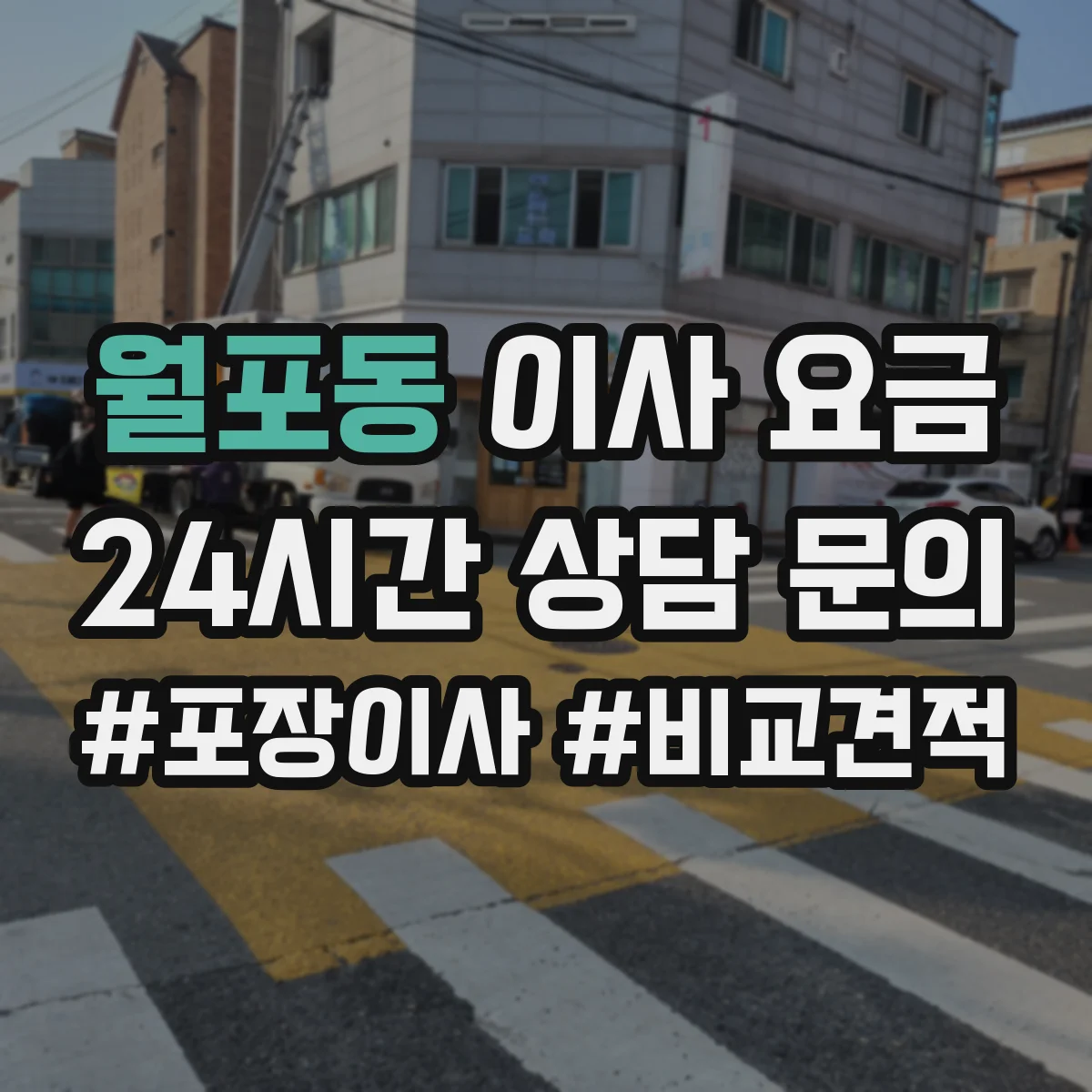 월포동 이사 요금