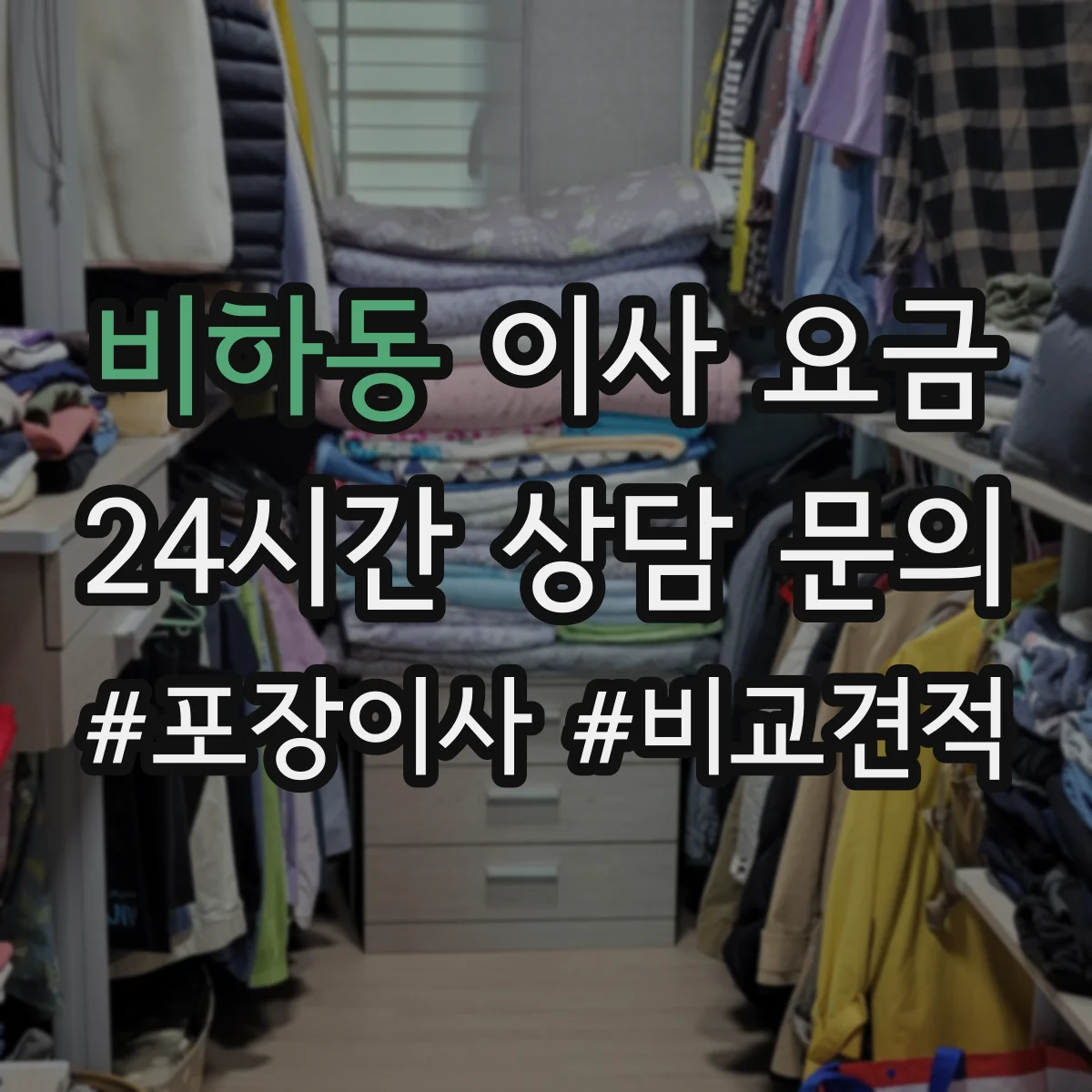 비하동 이사 요금