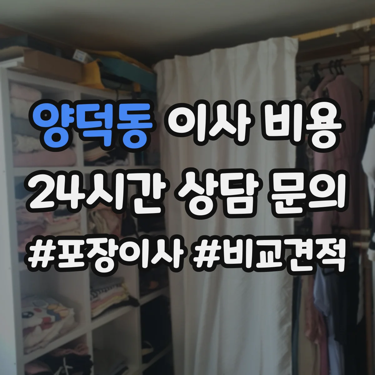 양덕동 이사 비용