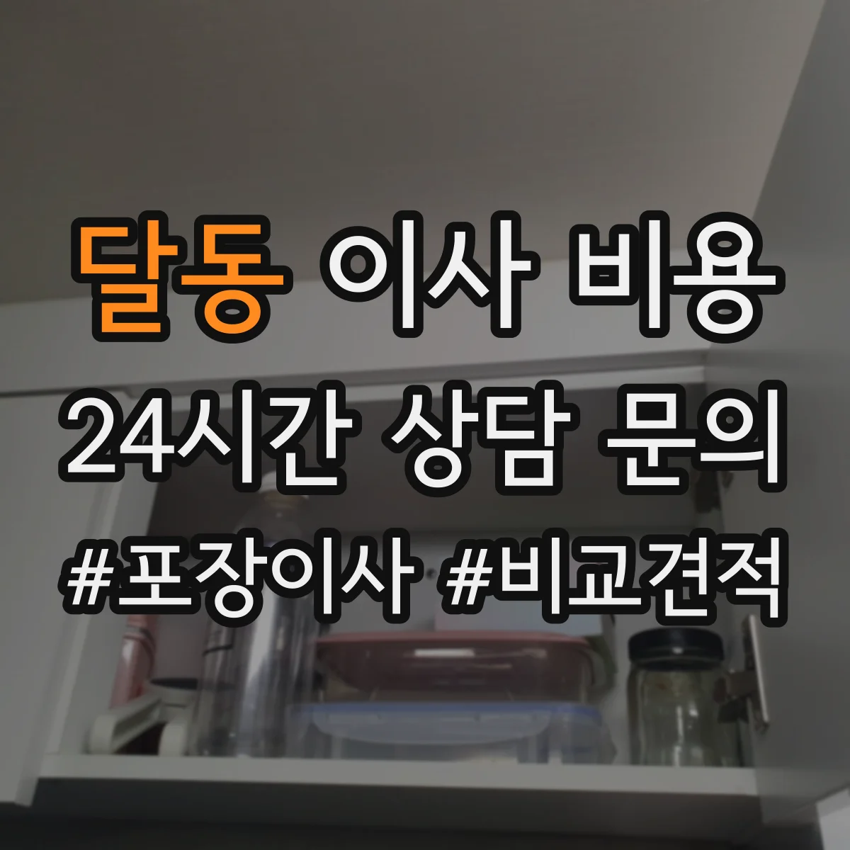 달동 이사 비용