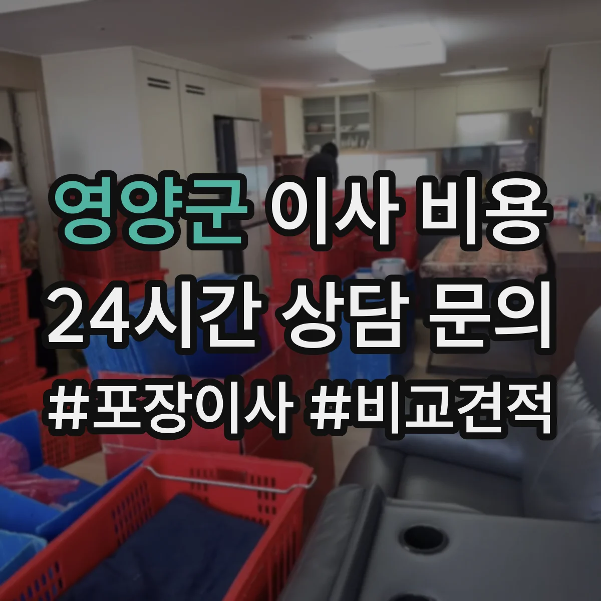 영양군 이사 비용