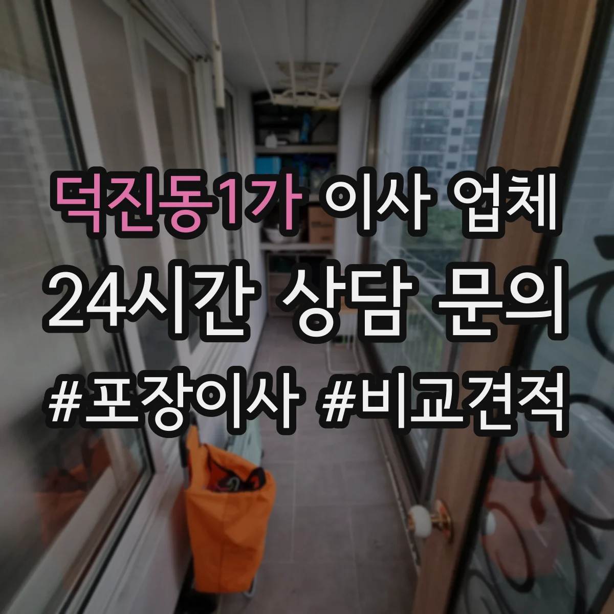 덕진동1가 이사 업체