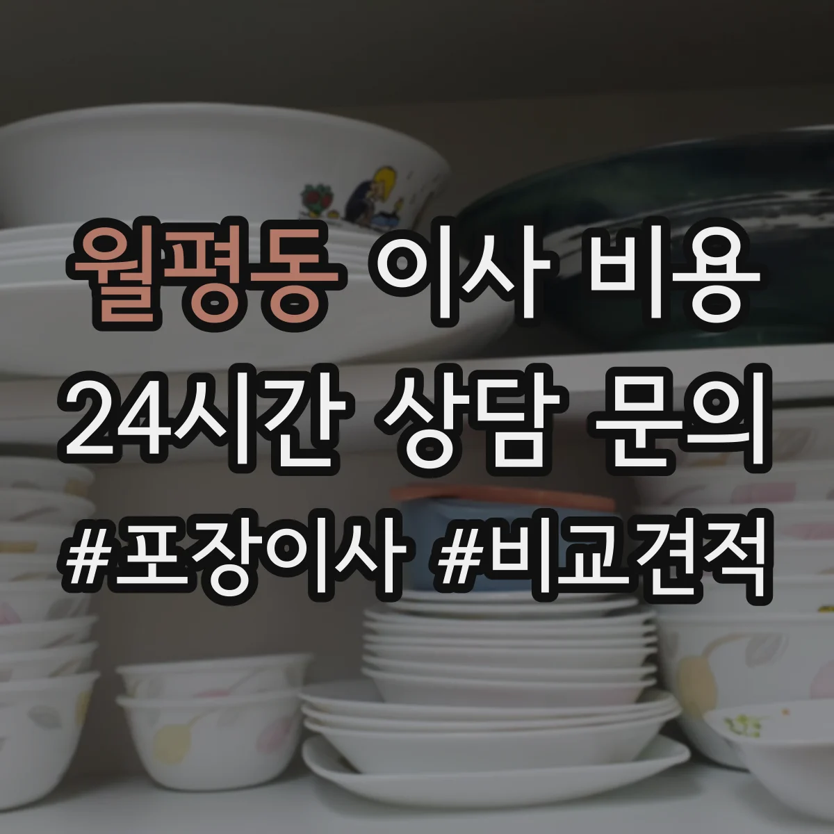 월평동 이사 비용