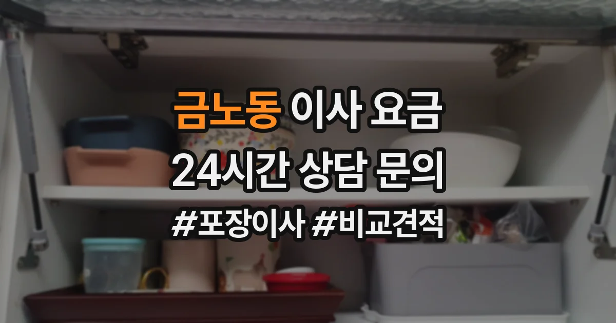 금노동 이사 요금