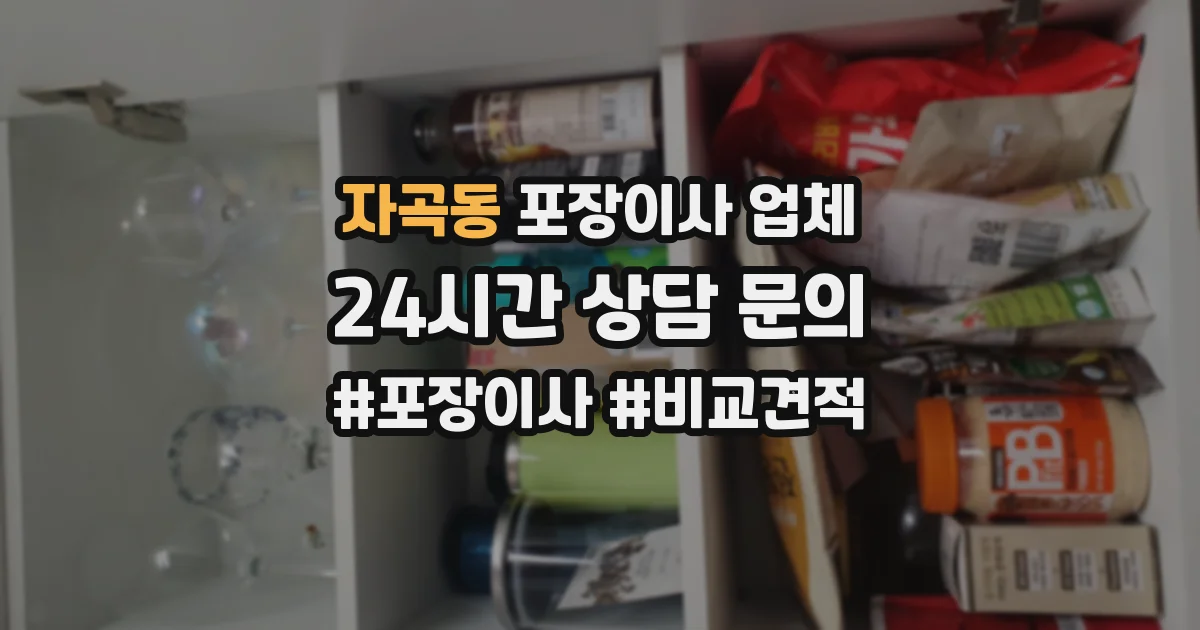 자곡동 포장이사 업체