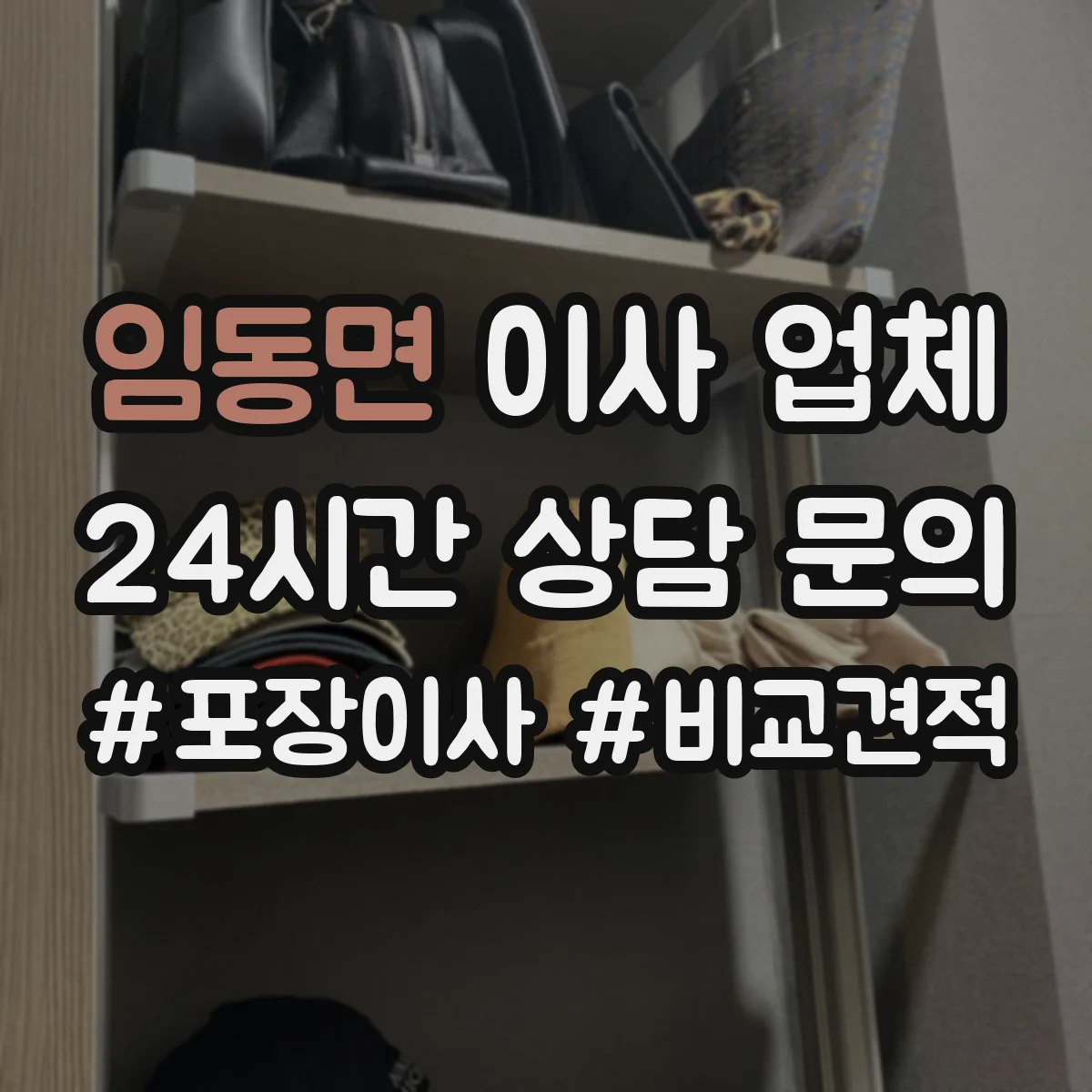 임동면 이사 업체