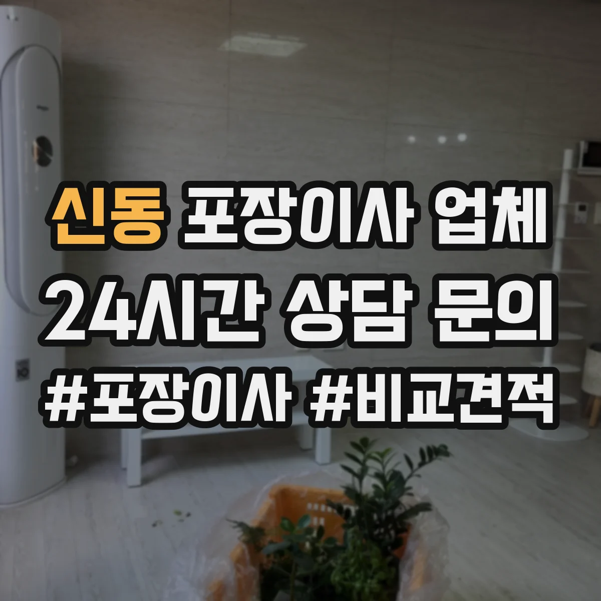 신동 포장이사 업체