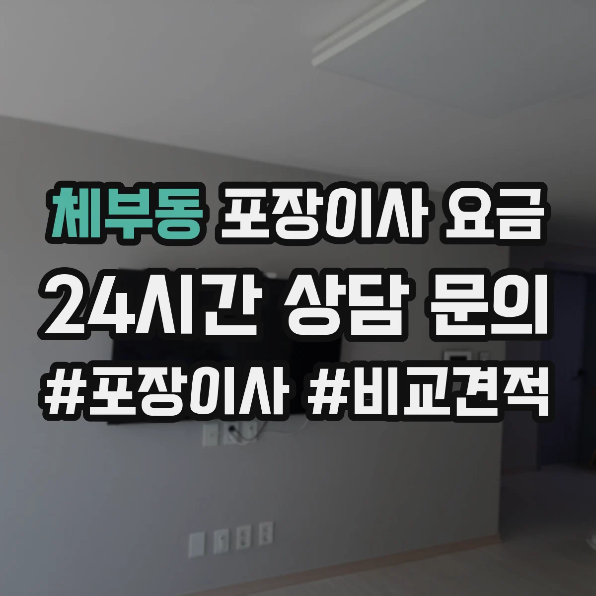 체부동 포장이사 요금